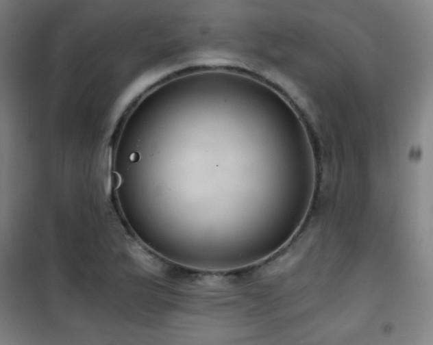 X0000101651175200807101224