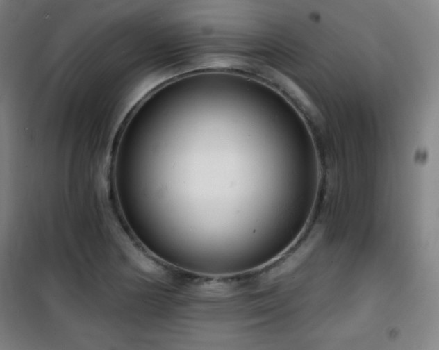 X0000101651178200807101224