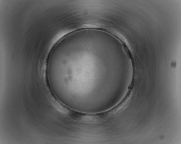 X0000101651179200807101224