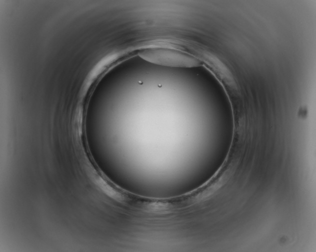 X0000101651180200807101224