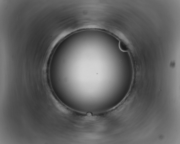 X0000101651181200807101224