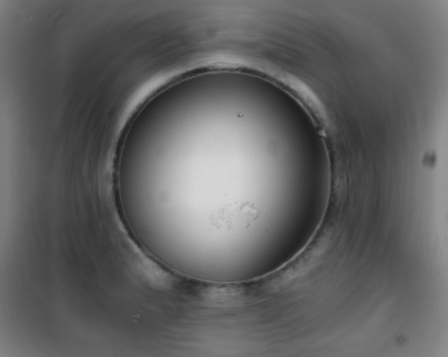 X0000101651183200807101224