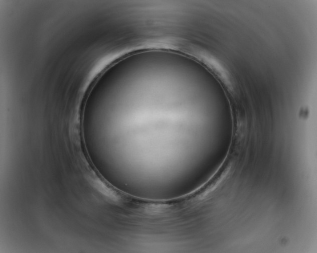 X0000101651184200807101224