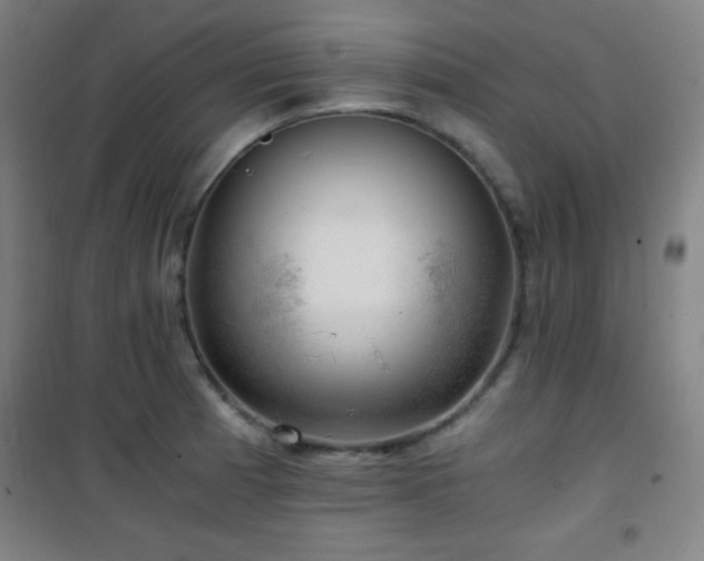 X0000101651185200807101224
