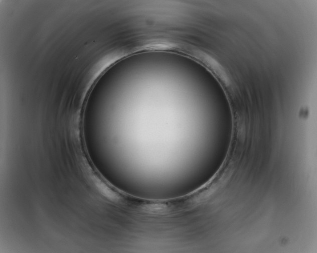 X0000101651186200807101224