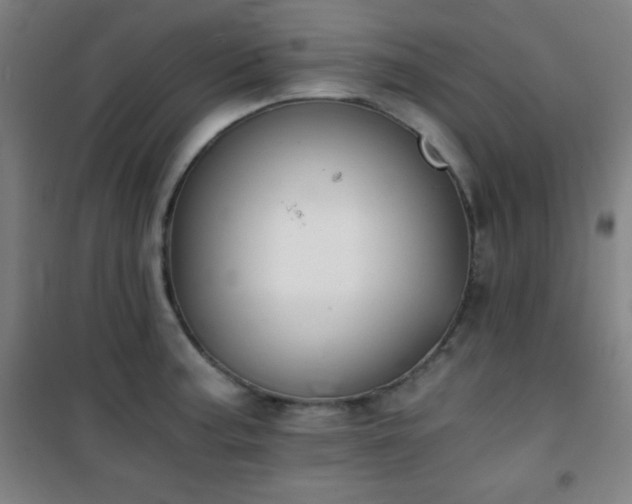 X0000101651187200807101224