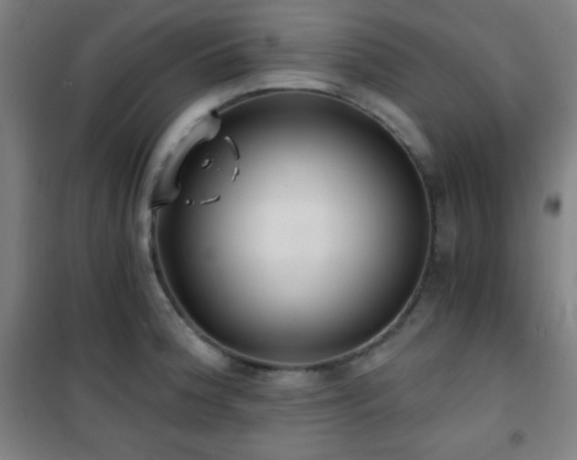 X0000101651188200807101224