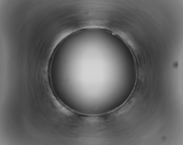 X0000101651189200807101224