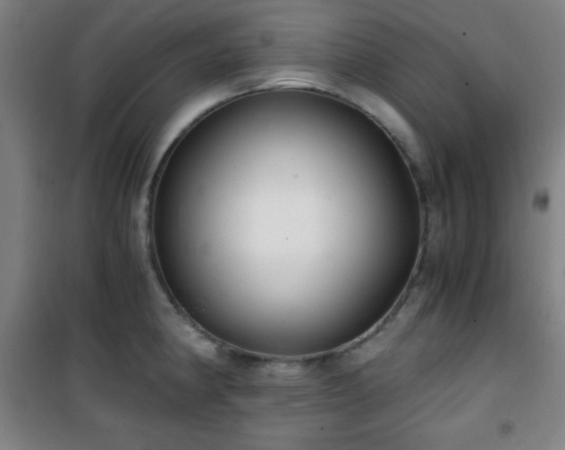 X0000101651190200807101224