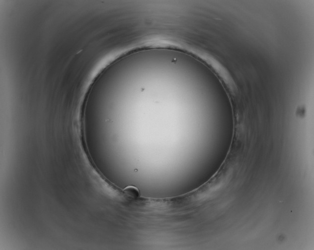 X0000101651191200807101224