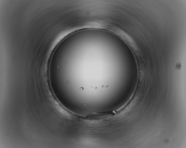 X0000101651192200807101224