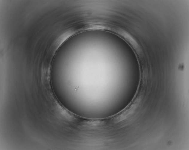 X0000101651193200807101224