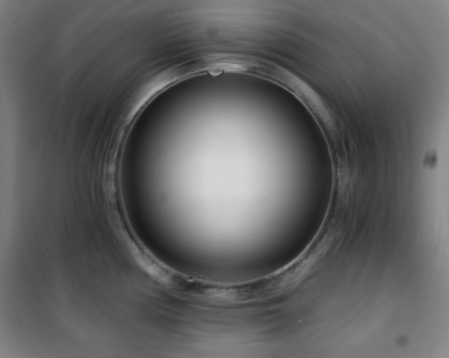 X0000101651194200807101224