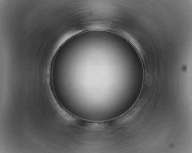 X0000101651195200807101224