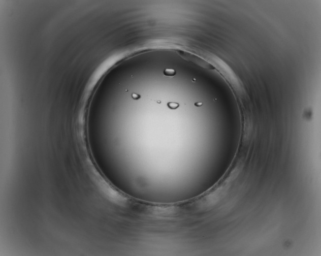 X0000101651196200807101224