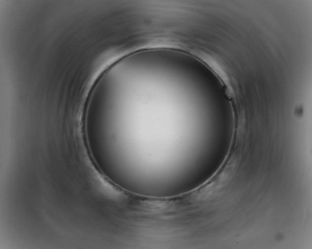 X0000101651197200807101224