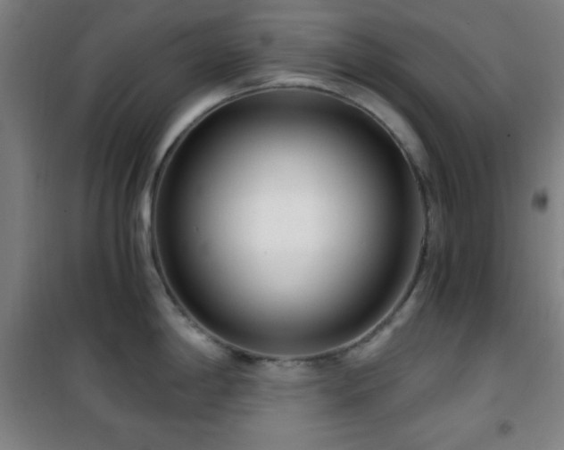 X0000101651198200807101224