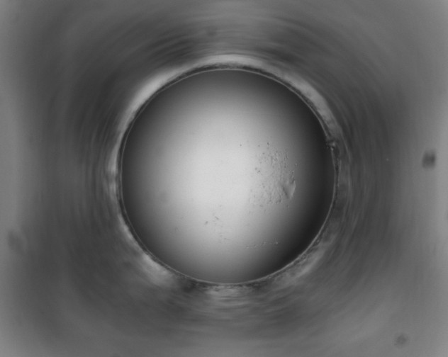 X0000101651199200807101224