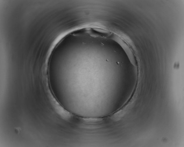 X0000101651200200807101224