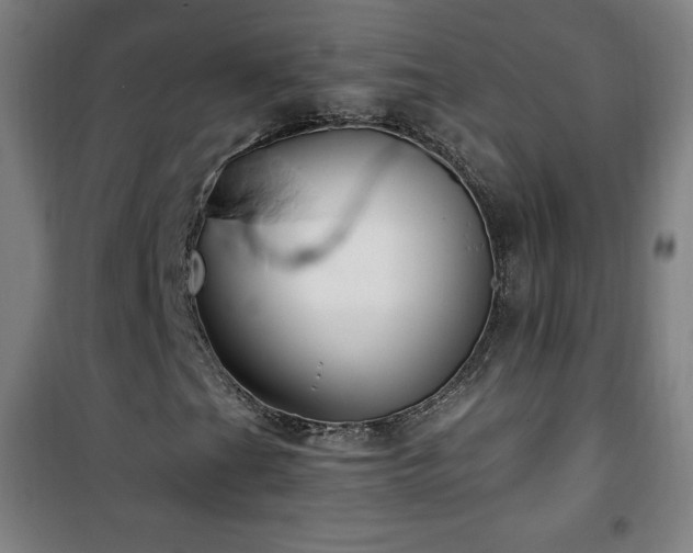 X0000101651201200807101223