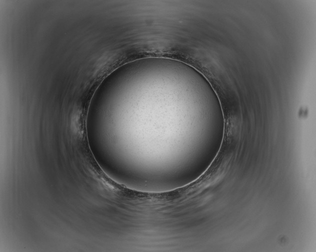 X0000101651202200807101223