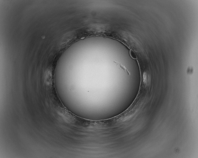 X0000101651203200807101223