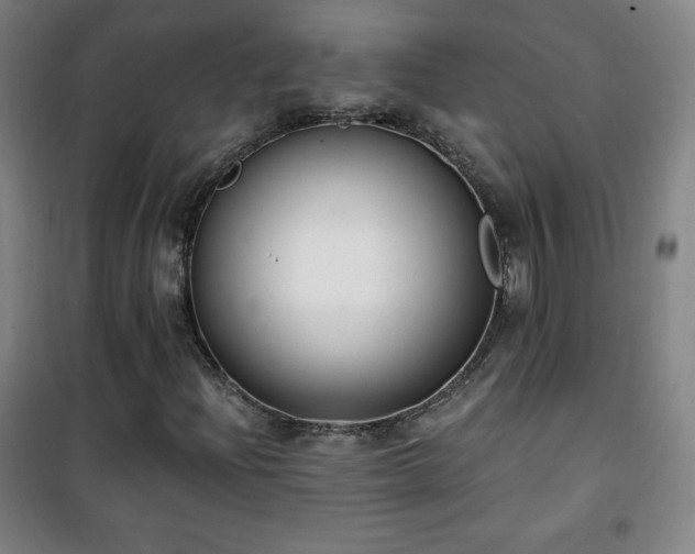 X0000101651204200807101223