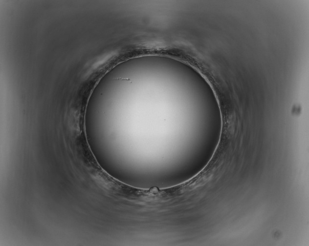 X0000101651205200807101223