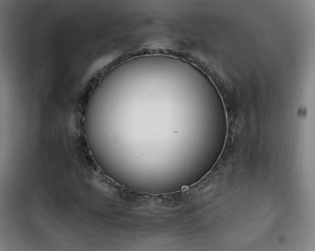 X0000101651207200807101223