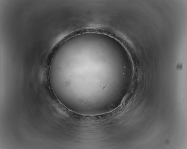 X0000101651208200807101223