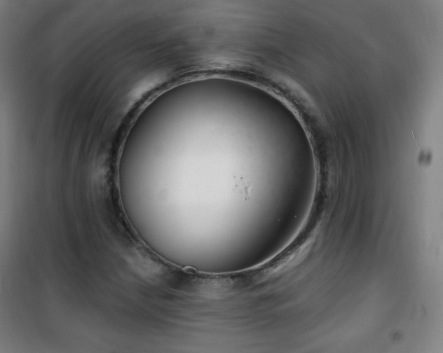 X0000101651210200807101223