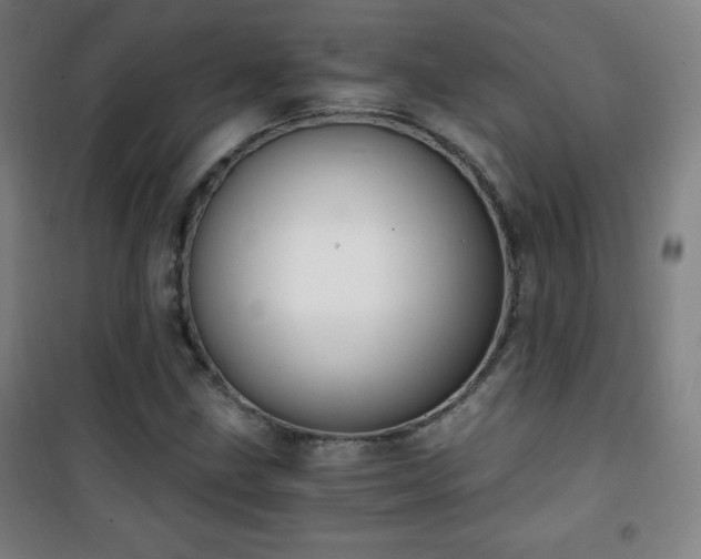 X0000101651211200807101223