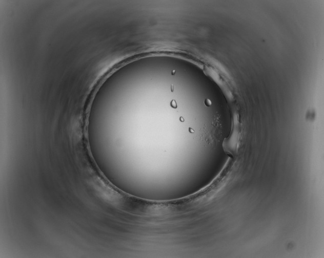 X0000101651212200807101223