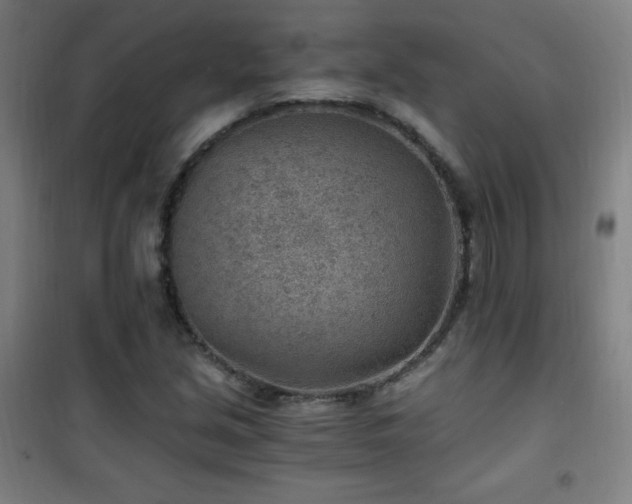 X0000101651213200807101223