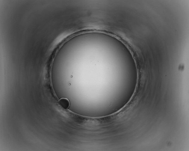 X0000101651215200807101223