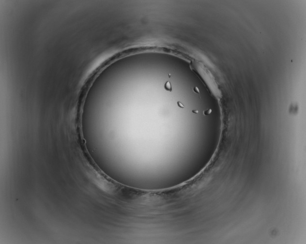 X0000101651216200807101223