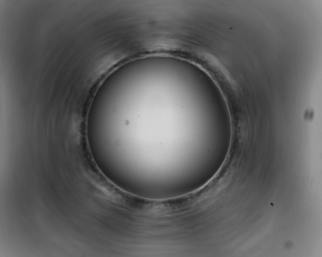X0000101651217200807101223