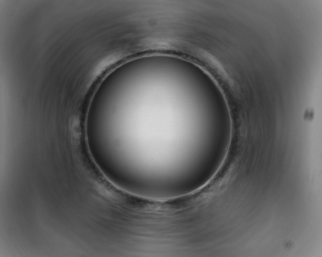 X0000101651218200807101223