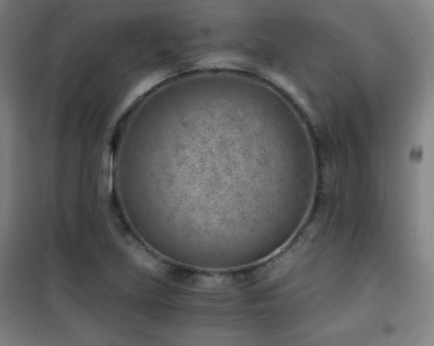 X0000101651219200807101223
