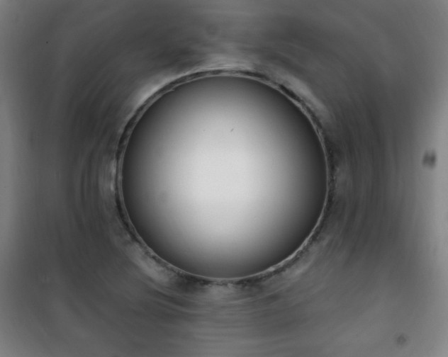 X0000101651220200807101223