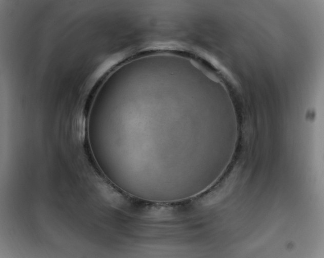 X0000101651221200807101223