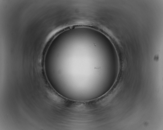 X0000101651222200807101223