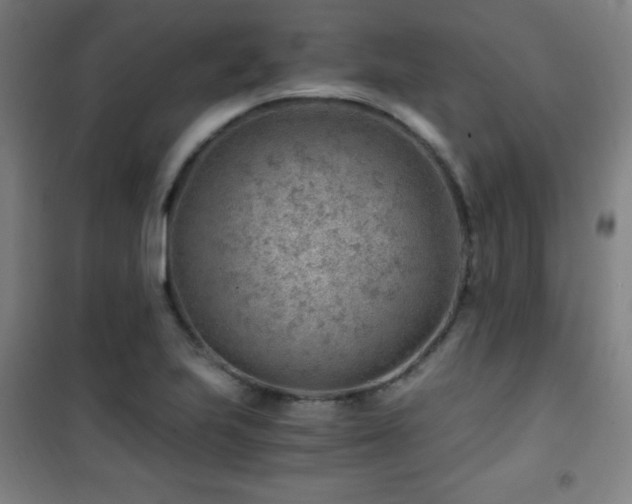 X0000101651223200807101223
