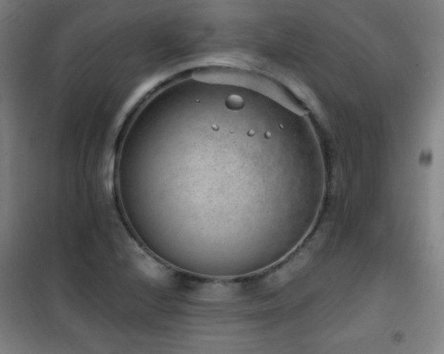 X0000101651224200807101223