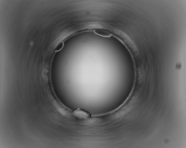 X0000101651225200807101223
