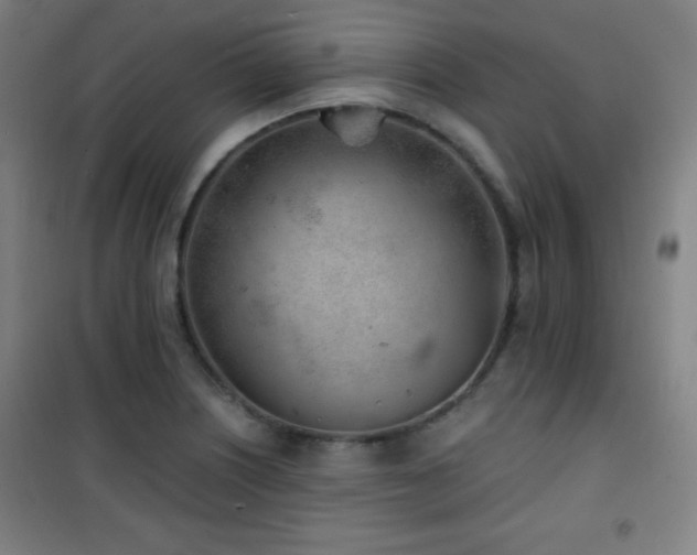 X0000101651226200807101223