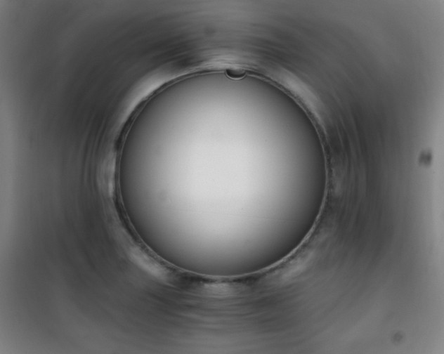 X0000101651227200807101223
