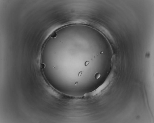 X0000101651228200807101223