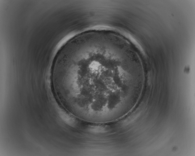 X0000101651229200807101224