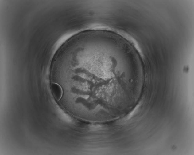 X0000101651231200807101224